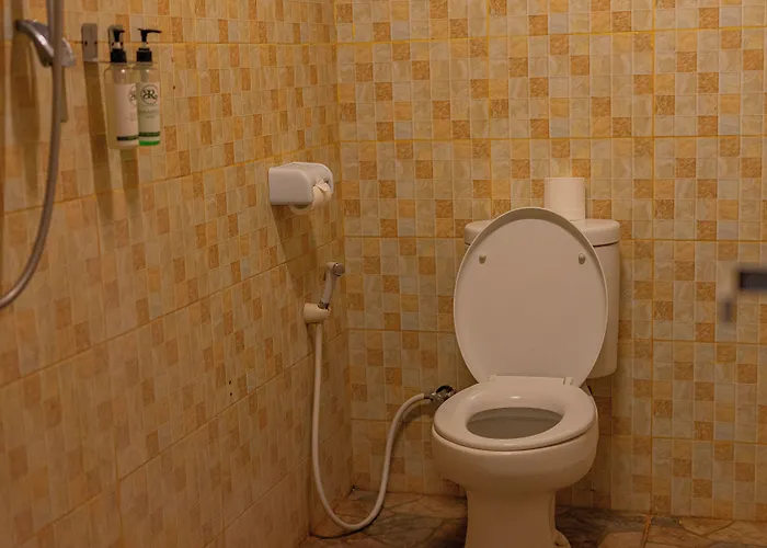 Rijet & Restaurant 3* Ped